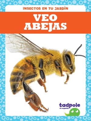 cover image of Veo abejas (I See Bees)